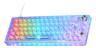 Deltaco Gaming DK460 Mekaniskt Tangentbord 65 % nordisk layout - Transparant