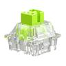 Glorious HE Switches (36pcs) - Raptor - Lubed - [Clicky] 55g
