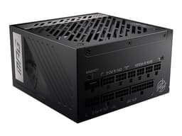 MSI MPG A1000G PCIE5 - Nätaggregat (intern) - ATX12V / EPS12V - 80 PLUS Gold - AC 100-240 V - 1000 Watt - aktive PFC