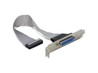 Delock - Parallellpanel - DB-25 (hona) till 26 pin IDC (hona) - 22 cm