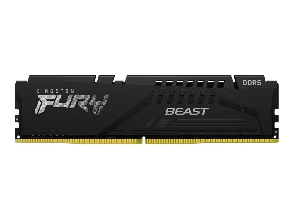 Kingston FURY Beast RAM 16 GB DDR5 6000 MT/s CL36 KF560C36BBE2-16 svart EXPO