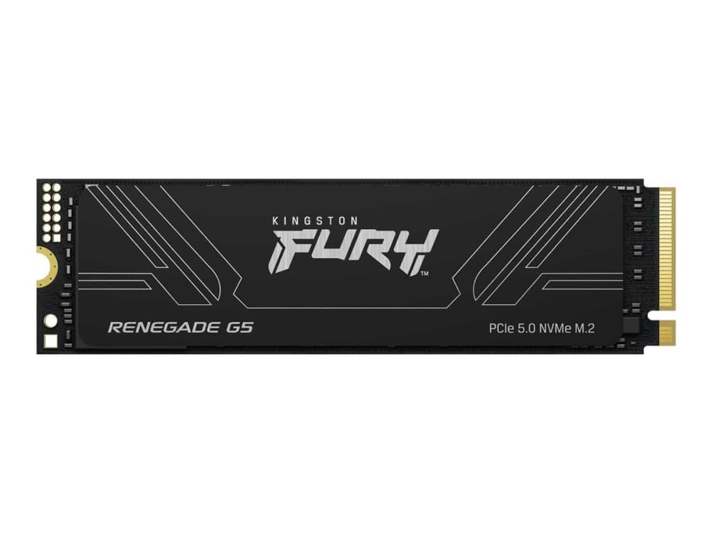 Kingston Fury Renegade G5 2TB (black