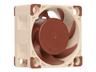 Noctua Nf-a4x20 4-pin Pwm 40mm Fläkt Beige, Brun