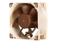 Noctua NF-A6x25 PWM - Lådfläkt - 60 mm