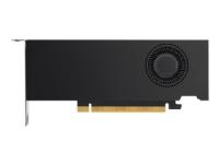 NVIDIA RTX A2000 - grafikkort - RTX A2000 - 12 GB GDDR6 - PCIe 4.0 x16 - 4 x Mini DisplayPort - en gros