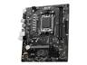 MSI PRO A620M-E