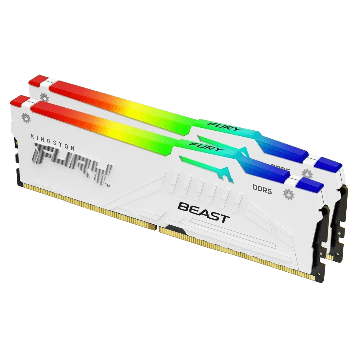 Kingston FURY Beast RGB - DDR5 - sats - 32 GB: 2 x 16 GB - DIMM 288-pin - 3000 MHz / PC5-48000 - CL36 - 1.35 V - ej buffrad - on-die ECC - vit