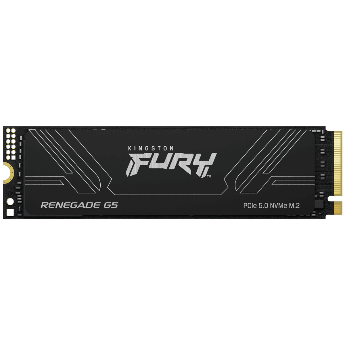 Kingston FURY Renegade G5 SSD 2TB