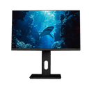Shark Gaming 24" 1080p 200Hz IPS Skærm DEMO
