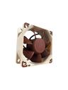 Noctua NF-A6x25 PWM - lådfläkt - Chassi fläkt - 60mm - Vit - 19 dBA