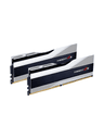 G.Skill Trident Z5 - DDR5 - sats - 32 GB: 2 x 16 GB - DIMM 288-pin - 6000 MHz / PC5-48000 - CL40 - 1.35 V - ej buffrad - icke ECC - silver-metallic